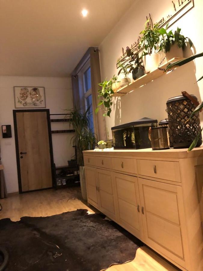 Апартаменты Studio Dream On Met Zonnige Terras Остенде Экстерьер фото